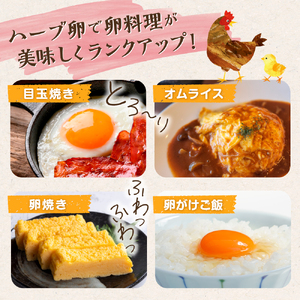 【3ヶ月定期便】たまご家のハーブ卵（笑顔）30個 たまご定期便 卵 たまご 玉子 たまご家定期便 ハーブ卵定期便 新鮮卵 定期便卵 たまご家の卵 エッグス 佐賀県 太良町 PF1