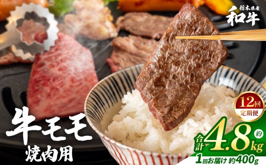 【定期便12回】栃木県産和牛 モモ焼き肉 約400g  | 定期便 牛肉 和牛 焼き肉 やきにく 焼肉 焼肉用 モモ肉 もも肉 モモ もも 旨味 美味しい 肉 お肉 栃木県共通返礼品 栃木県 真岡市