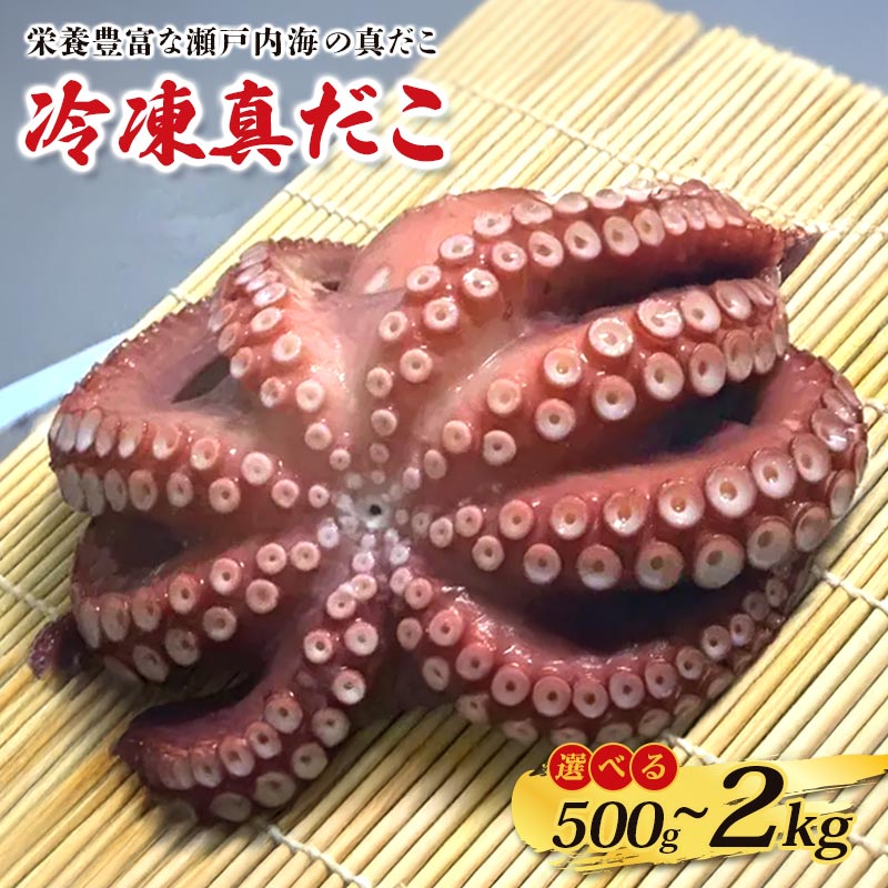 【ふるさと納税】 瀬戸内海産 冷凍マダコ 約500g-2kg 蛸 たこ 活たこ 真だこ 刺身 素潜り 冷凍 クール 海鮮 お刺身 瀬戸内 漁師 素潜り 解凍 たこ焼き タコヤキ 500g 800g 1kg 1.3kg 1.5kg 1.7kg 2kg ボイル 生 チルド 真蛸 蛸 タコ 蒸したこ お取り寄せ 海産物 お取り