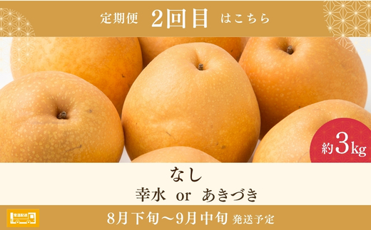 No.3319 くだもの王国 福島 もも 梨 りんご 定期便 全3回お届け 各回約3kg【2026年発送】