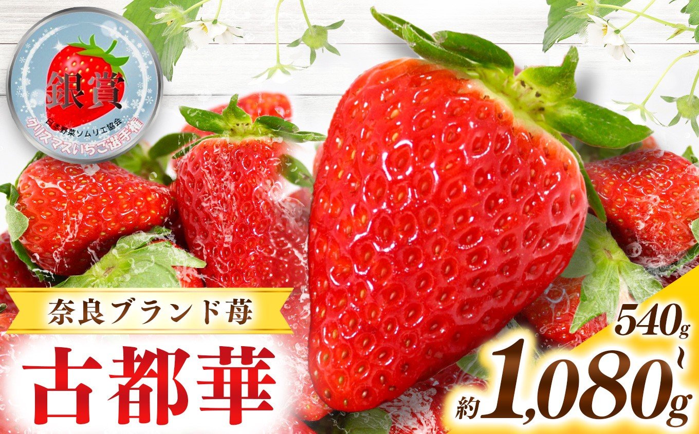 
            甘くて高級 奈良県産ブランド「 古都華 （ ことか ）」| フルーツ くだもの 果物 いちご イチゴ ことか コトカ 古都華  高糖度 旬 2月 3月 4月 5月 順次発送 LIP～幸せいちご園～ 産地直送 農家直送 お取り寄せ 送料無料 グルメ フレッシュ 果実 新鮮 ブランド苺 ストロベリー 冷蔵 糖度 減農薬栽培  濃厚 贅沢 奈良県 五條市
          