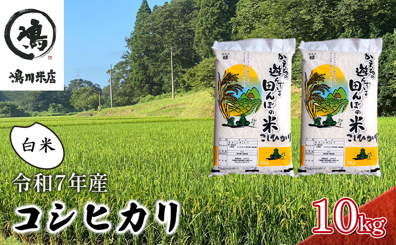 最短出荷 2日から7日以内に発送 令和7年 コシヒカリ　白米　10kg お米 精米 粘りつやつや 甘み 美味しい 新鮮