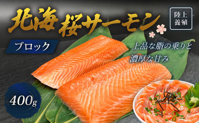 「陸上養殖」 北海桜サーモン ブロック 400g 北海道 松前町 ふるさと納税