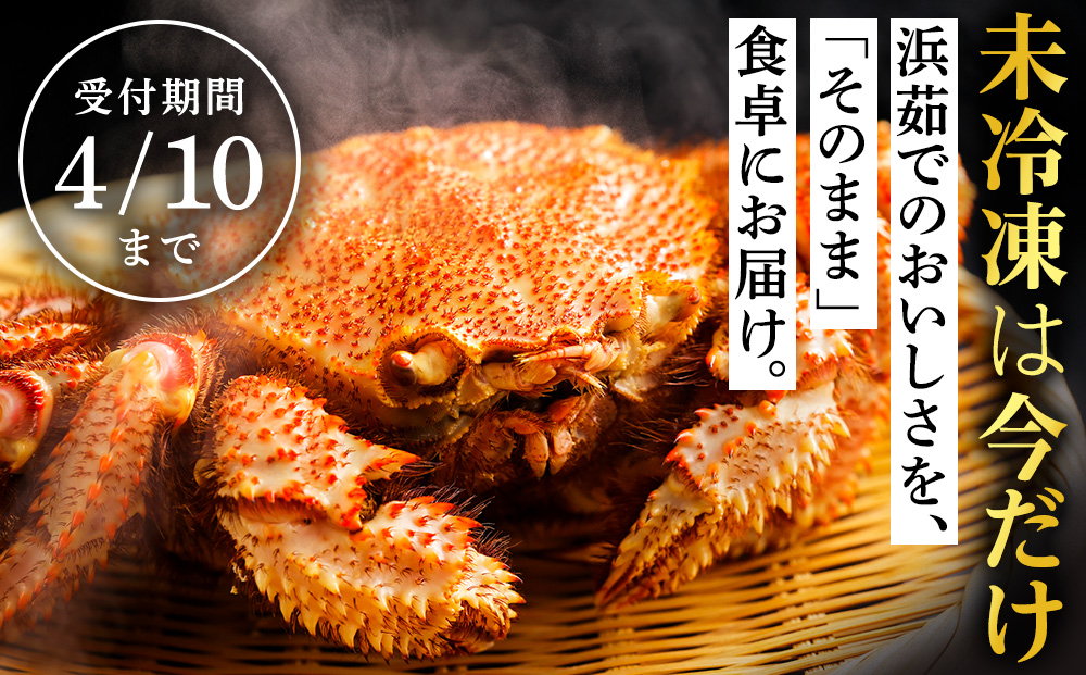 【未冷凍でお届け！】稚内産チルド毛がに 400～500g×2尾