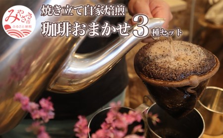 コーヒー 豆 コーヒー[焼き立て 自家焙煎 珈琲豆 おまかせ 3種類 セット 珈琲 コーヒー豆 コーヒー生豆 珈琲生豆 生豆 自家焙煎珈琲 自家焙煎珈琲豆 ロースター 焙煎 詰め合わせ 飲み比べ グルメ お取り寄せ ギフト]