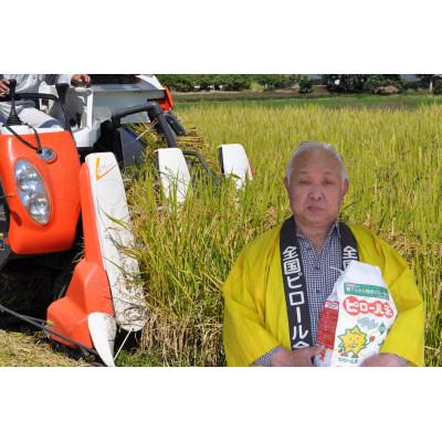 ふるさと納税 久喜市 令和7年産　但木米店のピロール米セット ー夢ごこち&amp;新生夢ごこちー 5kg(2.5kg×2袋)