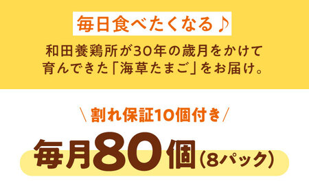 【全12回定期便】平飼い 海草たまご 8パック（80個入り）割れ保証あり 愛媛県大洲市/和田養鶏所 卵 たまご 鶏卵 卵料理 玉子[AGDQ013]