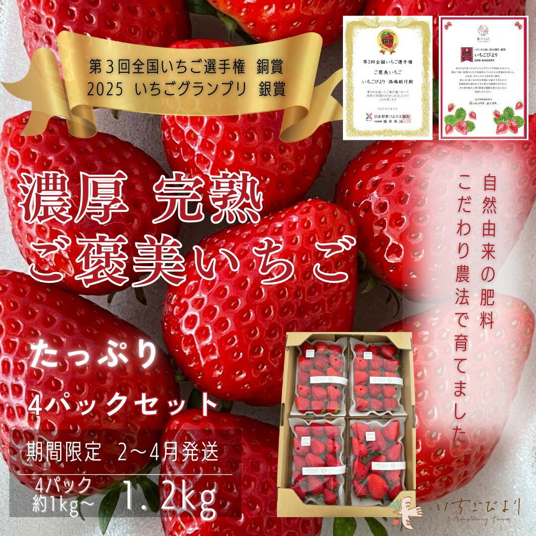【ふるさと納税】滋賀県愛荘町産　いちご 約250～300g×4パック 品種おまかせ 送料無料 いちご 紅ほっぺ よつぼし みおしずく あまえくぼ BJ07