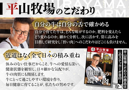 国産 牛肉 カルビ 焼肉 用 700g 4人前 ( 700g×1p ) 知多牛 響 国産牛 冷凍 お肉 肉 おすすめ カルビ