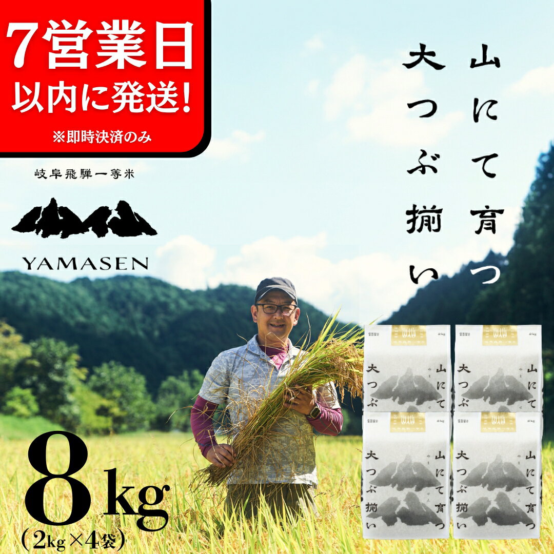 【ふるさと納税】【令和6年産米】【令和7年産】山仙 (いのちの壱) 8kg ( 2kg × 4袋 ) すがたらいす 下呂市 金山産 8キロ 米 2024年産 お米 精米 白米 いのちのいち やません ご飯 ごはん 農家直送 送料無料 新米 令和7年 先行予約 農家直送 2025年 2025年産