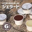 【ふるさと納税】ジェラート むかつくジェラート アイス 6個入り 詰合せ おまかせ アイスクリーム ギフト プレゼント 長門市 (10025)