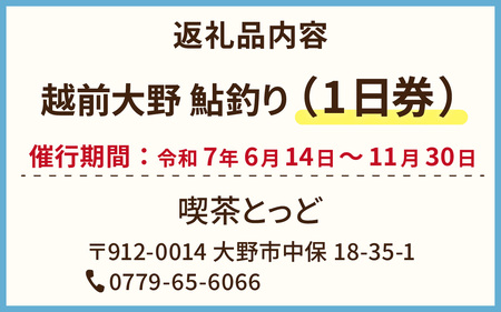 A-100001　越前大野　鮎釣り（1日券）1名様分