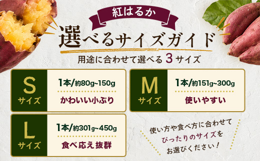 【先行予約：2026年9月中旬配送～】掘りたて さつまいも 紅はるか 5kg Sサイズ (おすそ分け袋／自宅で簡単レシピ付き）FR-202 | 秋の味覚 2026年秋収穫 新物 さつまいも サツマイモ