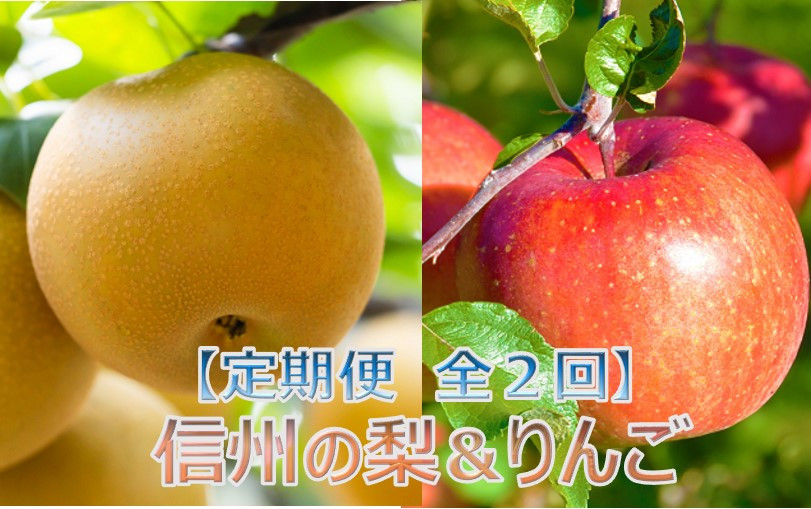 
【024-07】【定期便全２回】信州の梨＆りんご　品種おまかせ　約3キロ（9月：梨、11月：りんご）
