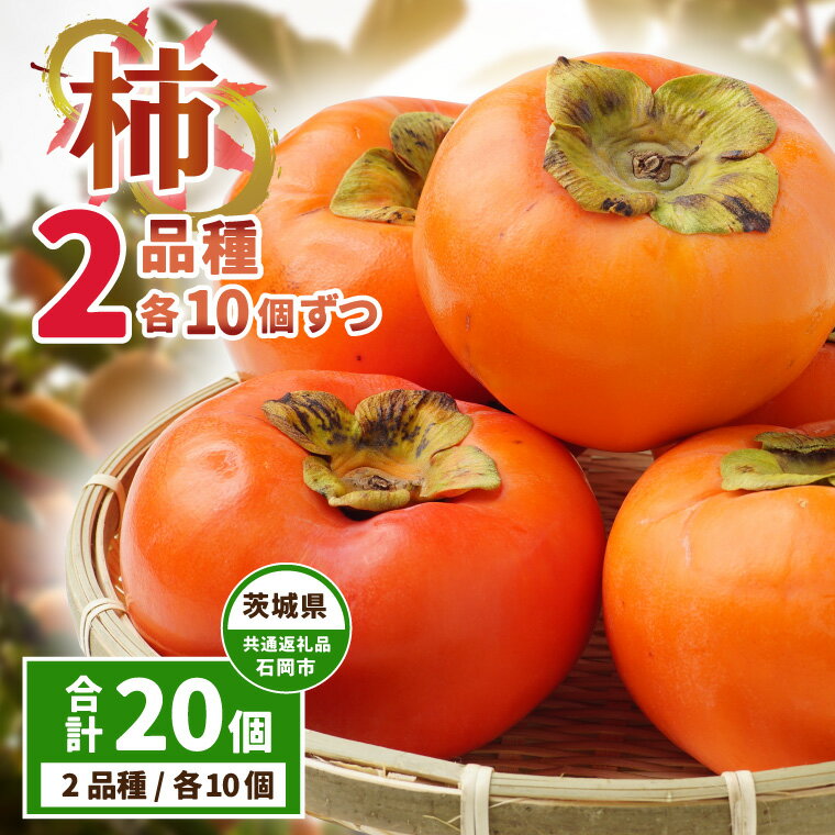 【ふるさと納税】柿の食べ比べ　2品種×10個ずつ　県内共通返礼品【配送不可地域：離島・沖縄県】 (BR125)