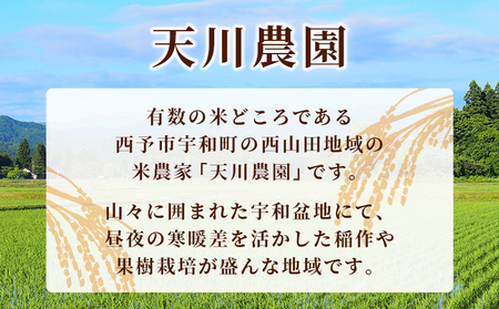 新米＜令和7年産 コシヒカリ 約10kg 西予市宇和町産＞ 10キロ 白米 精米 こしひかり 米 お米 コメ こめ 宇和米 新米 うわまい ご飯 ごはん ライス 送料無料 産地直送 天川農園 愛媛県 