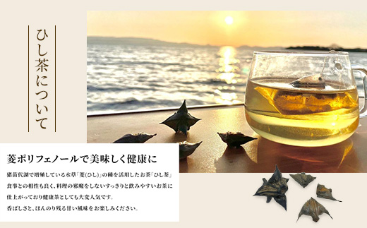 【定期便6回】お茶 猪苗代湖産ひし茶(お徳用) ティーバッグ 茶 福島 | 美容 健康 美肌 ポリフェノール 抗酸化作用 ビタミン 人気 福島県 猪苗代