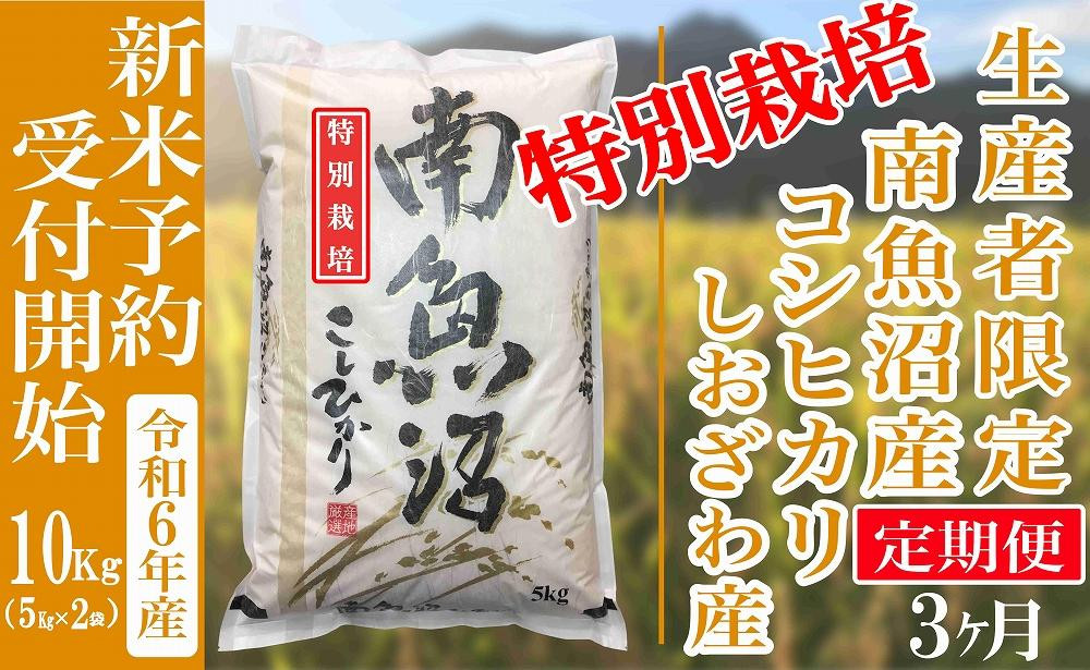 
【新米予約・令和6年産】定期便３ヶ月：精米10Kg【特別栽培】 生産者限定 南魚沼しおざわ産コシヒカリ
