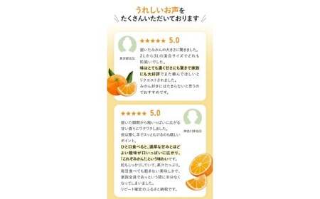 みかん 温州みかん 2kg  ボリューム満点！大玉  ※秀優混合【2L～3Lサイズ】【2025年12月から2026年２月下旬頃に順次発送】＜味好農園＞/ 温州 蜜柑 柑橘 果物 フルーツ ミカン 甘い