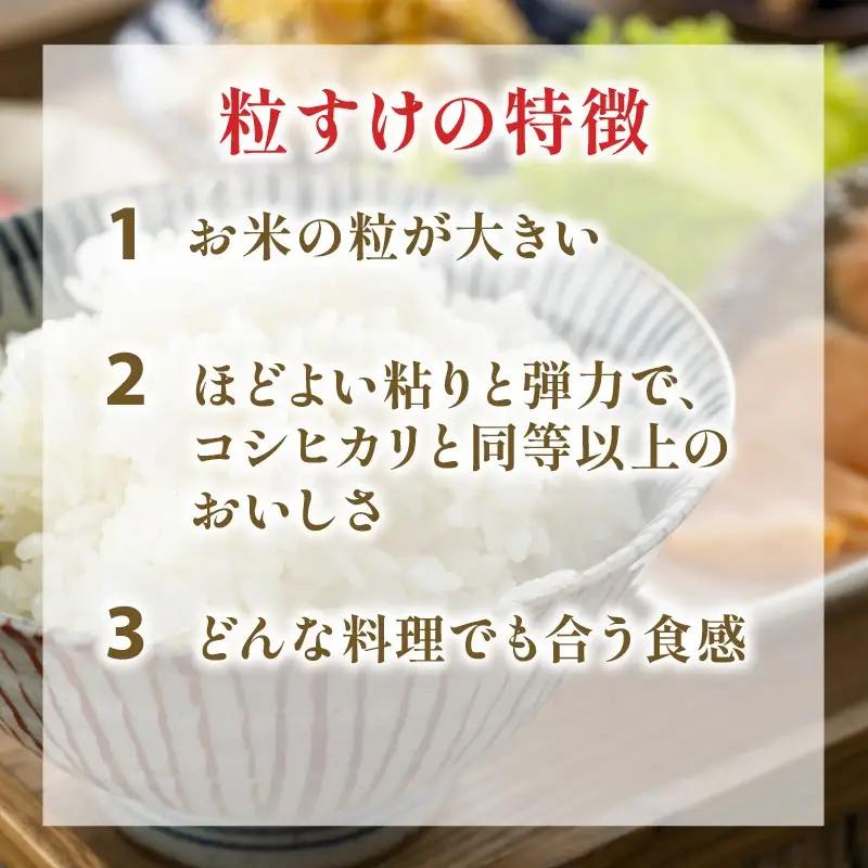 【先行予約】 令和8年産 無洗米 粒すけ 10kg 【 無洗米 】