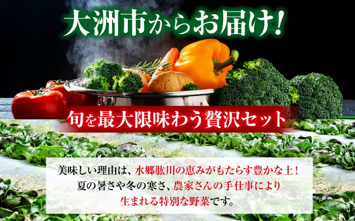 【全3回定期便】 【シェフの目線】　根菜×葉野菜 6から7種　単身・二人暮らし用セット　愛媛県大洲市/有限会社ヒロファミリーフーズ 野菜 果物 やさい 少量セット 食べきり [AGBX052]