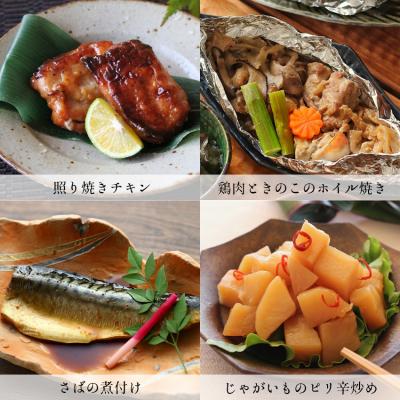 ふるさと納税 春日井市 お惣菜おかわりの無添加のお惣菜セット/12種類各1個合計12個のセット　一人暮らし 冷凍 レトルト　 |  | 02