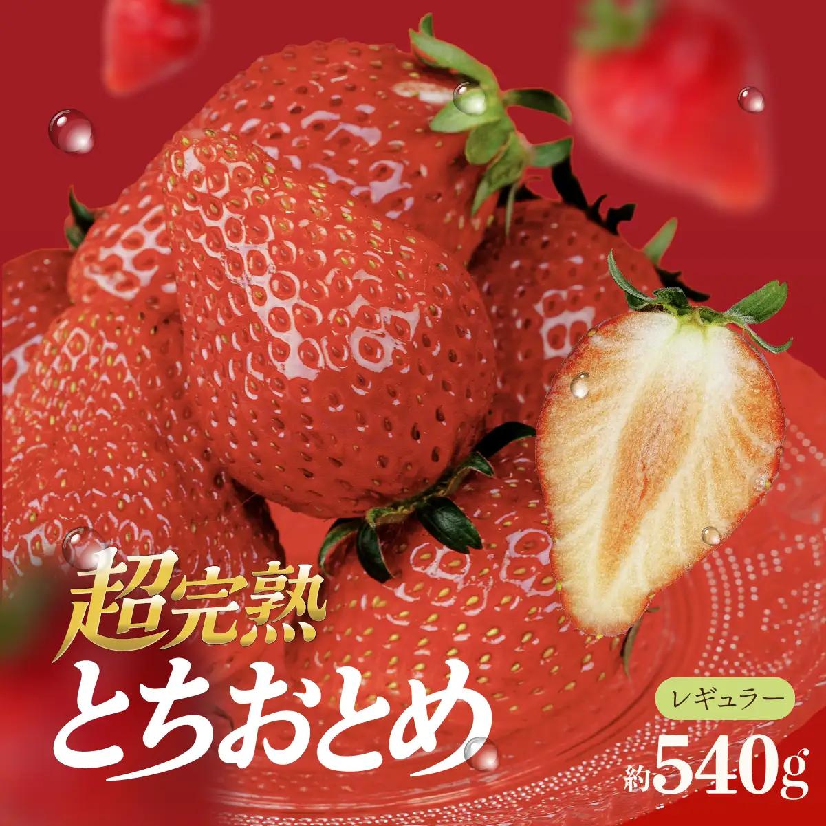 いちご【1月以降発送】朝摘み とちおとめ レギュラーサイズ 2パック540g ｜ いちご イチゴ