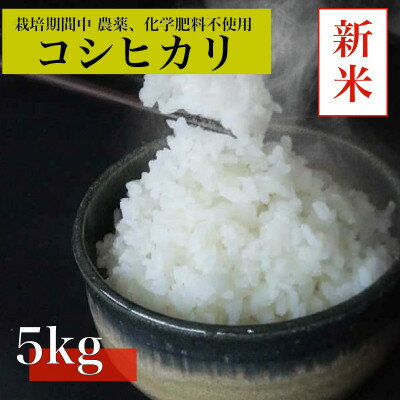 【ふるさと納税】【令和7年産　新米先行予約】コシヒカリ白米5kg《栽培期間中農薬・化学肥料不使用》徳島県阿南市産【1655304】