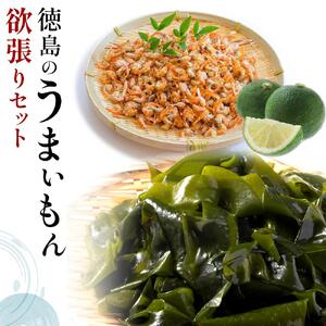 徳島 特産  わかめ のり 海苔 すだち 干しエビ 干海老 セット