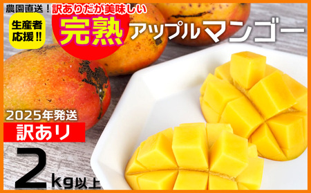 【2025年発送】生産者応援！！訳ありだが美味しい完熟アップルマンゴー2kg以上　マンゴー 訳ありマンゴー 沖縄マンゴー 限定マンゴー  フルーツ マンゴー 果物マンゴー