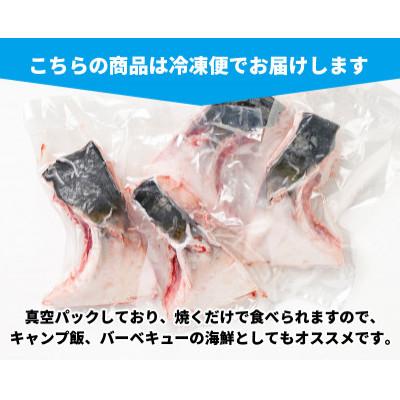 ふるさと納税 南伊勢町 【毎月定期便】伊勢志摩産 ブリカマ 1kg BBQ、煮付、炭火焼がオススメ 真空冷凍 新鮮な鰤全2回 |  | 03