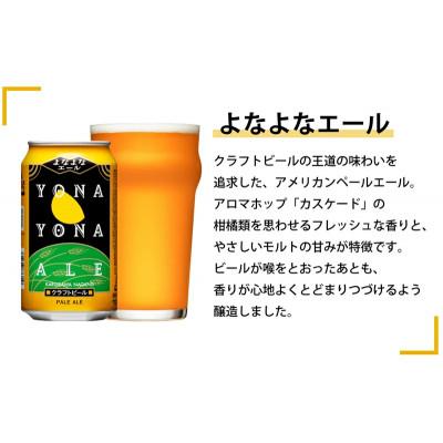ふるさと納税 佐久市 【毎月定期便】クラフトビール　6種飲み比べセット　350ml×24本(ヤッホーブルーイング)全3回 |  | 03