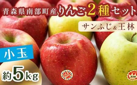 秀 （小玉） 青森産 完熟 りんご 約5kg サンふじ 王林 2種セット 【誠果園】 F21U-224