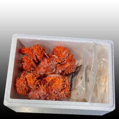 ふるさと納税 根室市 【北海道根室産】花咲かに500g〜650g×2尾、たこ唐揚げ×2P C-36075 |  | 01