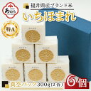 【ふるさと納税】【令和5年産】いちほまれ 真空パック 精米 300g×6個 計1.8kg《ギフトにもおすすめ！化粧箱入り》／ 福井県産 ブランド米 白米 2合