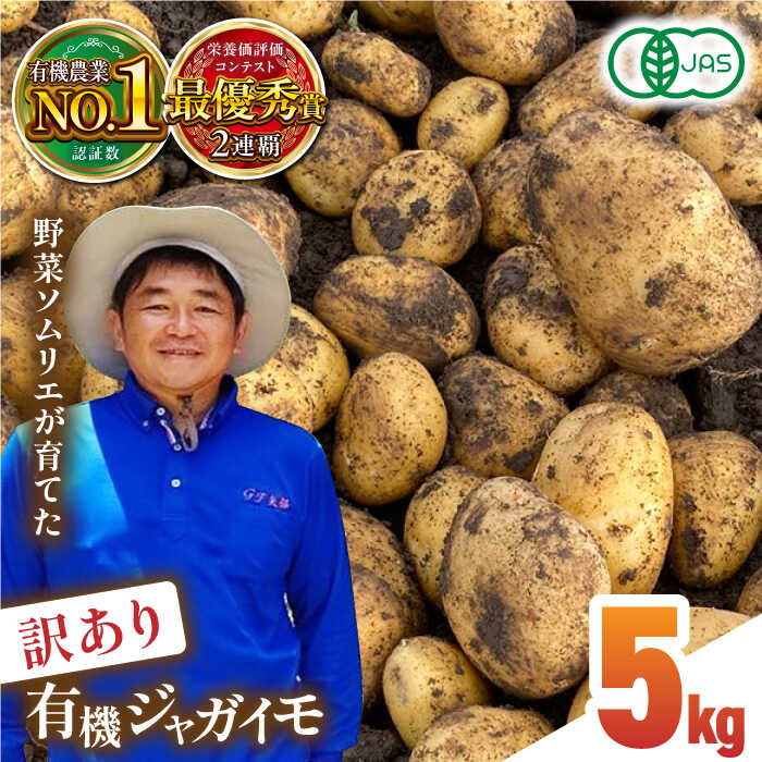 【ふるさと納税】【先行予約】【7月より順次発送】【数量限定】【訳あり】有機 ジャガイモ 約5kg 規格外品 野菜 じゃがいも 馬鈴薯 有機JAS認定 オーガニック野菜 熊本県産 山都町産 産地直送 熊本直送 訳アリ わけあり じゃが芋【グリーンファーム矢部】[YDC005]
