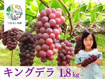 【定期便：全３回】旬のフルーツ定期便（キングデラ、和梨、シャインマスカット）　0140-2601