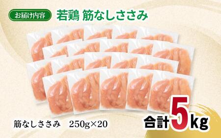 宮崎県産若鶏 筋なしささみ 5kg 小分け250ｇ×20パック＜2.3-4＞