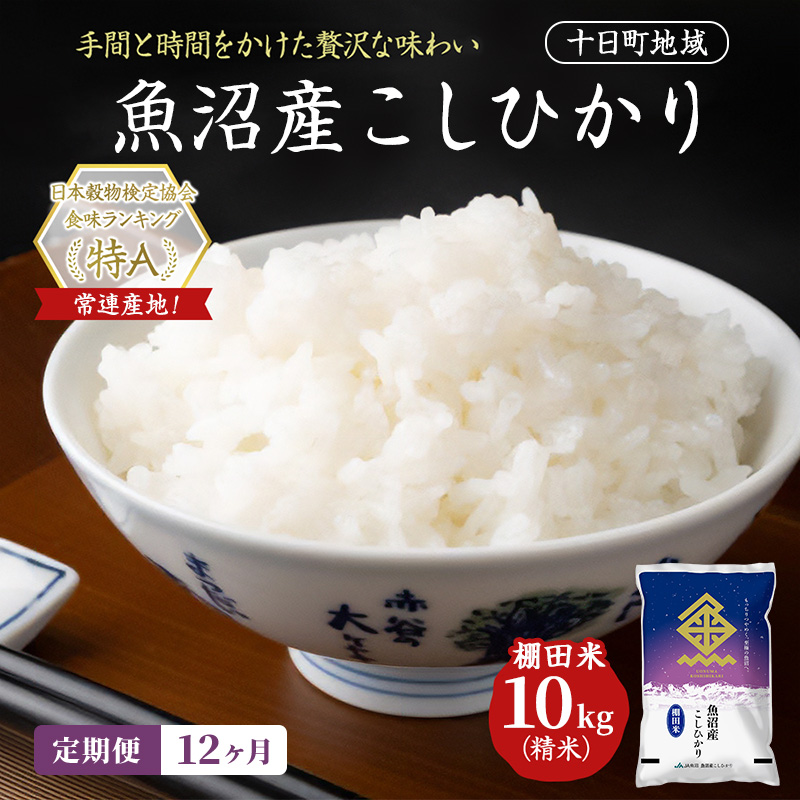【12ヶ月定期便】魚沼産こしひかり 棚田米(十日町地域) 精米 10kg(5kg×2) 米 お米 コシヒカリ 定期 十日町市