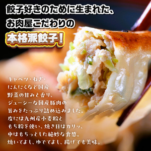 お肉屋の特製生餃子　64個セット（32個×2ｐ）　AO142