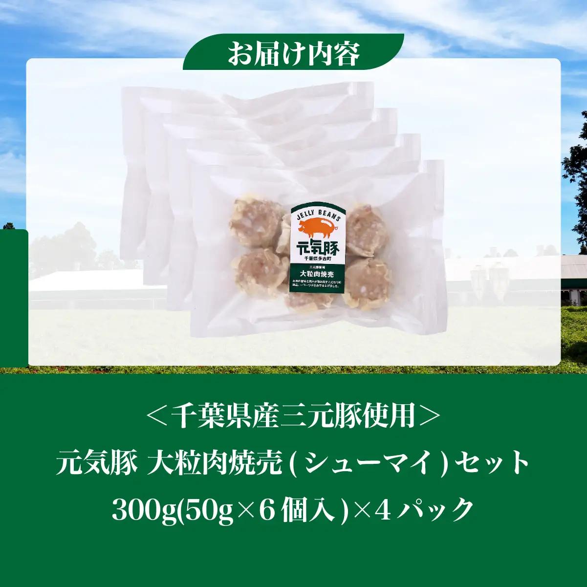 元気豚　大粒肉焼売　4パックセット_焼売 シューマイ 大粒_【配送不可地域：離島・沖縄県】TAKB050
