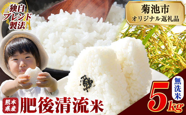 熊本県産 肥後清流米 無洗米 5kg ブレンド米 熊本県産 ふるさと納税 精米 米 こめ ふるさとのうぜい コメ お米 おこめ《7-14日以内に出荷予定(土日祝除く)》---300-5099---