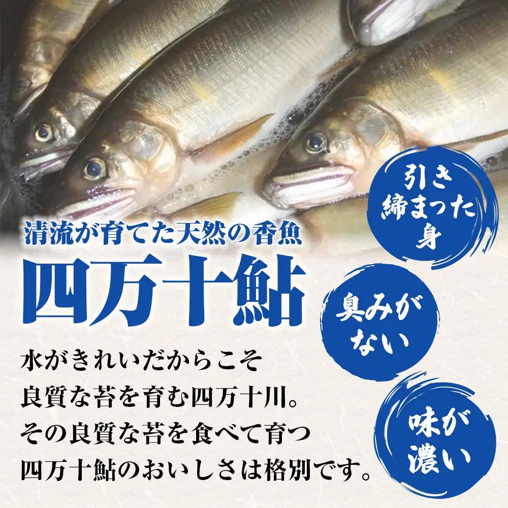 【四万十川の天然鮎】特大サイズ一夜干し5枚セット ／Esg-A27 あゆ アユ 鮎 川魚 あゆの塩焼き