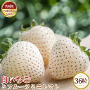 【ふるさと納税】No.685 【先行予約】白いちごとフルーツミニトマト　36粒【茨城県共通返礼品 石岡市】 ／ 苺 イチゴ とまと 詰合せ セット 送料無料 茨城県