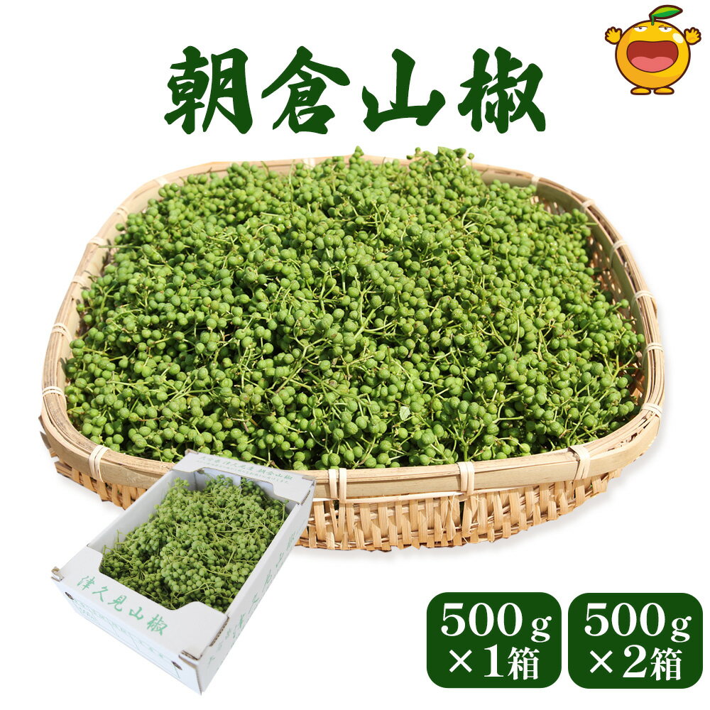 【ふるさと納税】数量限定！朝倉山椒 500g× 1箱 / 2箱 生山椒 枝付き さんしょう サンショウ 花椒 ホアジャオ スパイス 調味料 大分県産 九州産 津久見市 国産 送料無料【発送は、2025年5月上旬～5月下旬まで】