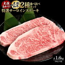 【ふるさと納税】熟成肉　土佐あかうし＆土佐和牛2種食べ比べ　特選サーロインステーキ　約1.6kg（約200g×各4） | 肉 お肉 にく 食品 人気 おすすめ ギフト