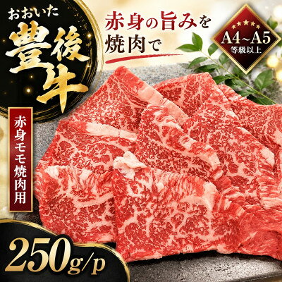 【ふるさと納税】【A4～A5】おおいた豊後牛赤身モモ焼肉用 250g/p【配送不可地域：離島】【1764378】