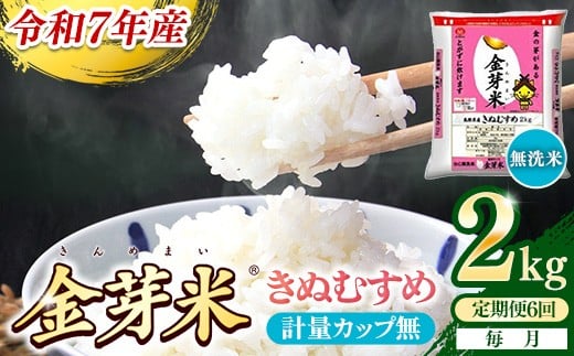 【定期便】BG無洗米・金芽米きぬむすめ 2kg×6ヵ月 （毎月）計量カップ無し【令和7年産 6ヶ月 時短 健康 米 BG 無洗米 計12kg 精米 半年間 島根県産 節水 時短 アウトドア キャンプ 東洋ライス おすすめ 島根県 安来市】【42-SS-24-2】
