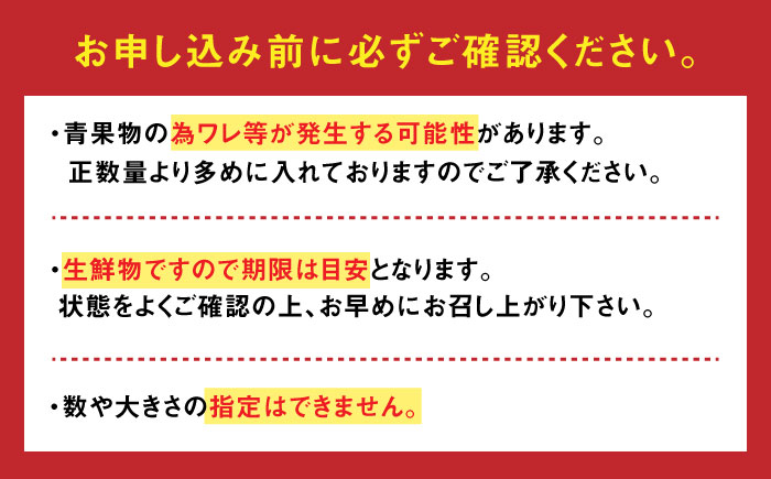 【やさしい甘さと程よい酸味】人気のドトマト1号1kg /トマト とまと サラダ 野菜 / 佐賀県 / 永尾産ち [41AAAC002]