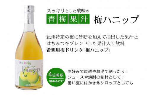 希釈用梅ドリンク 梅ハニップ 3本 / 飲料 ジュース 梅 ドリンク【prm005B】